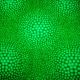 Body: Spots'n swirls green