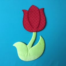 Cuddly Tulips
